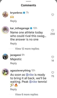 Screenshot of Agassi's Instagram's post comment section.